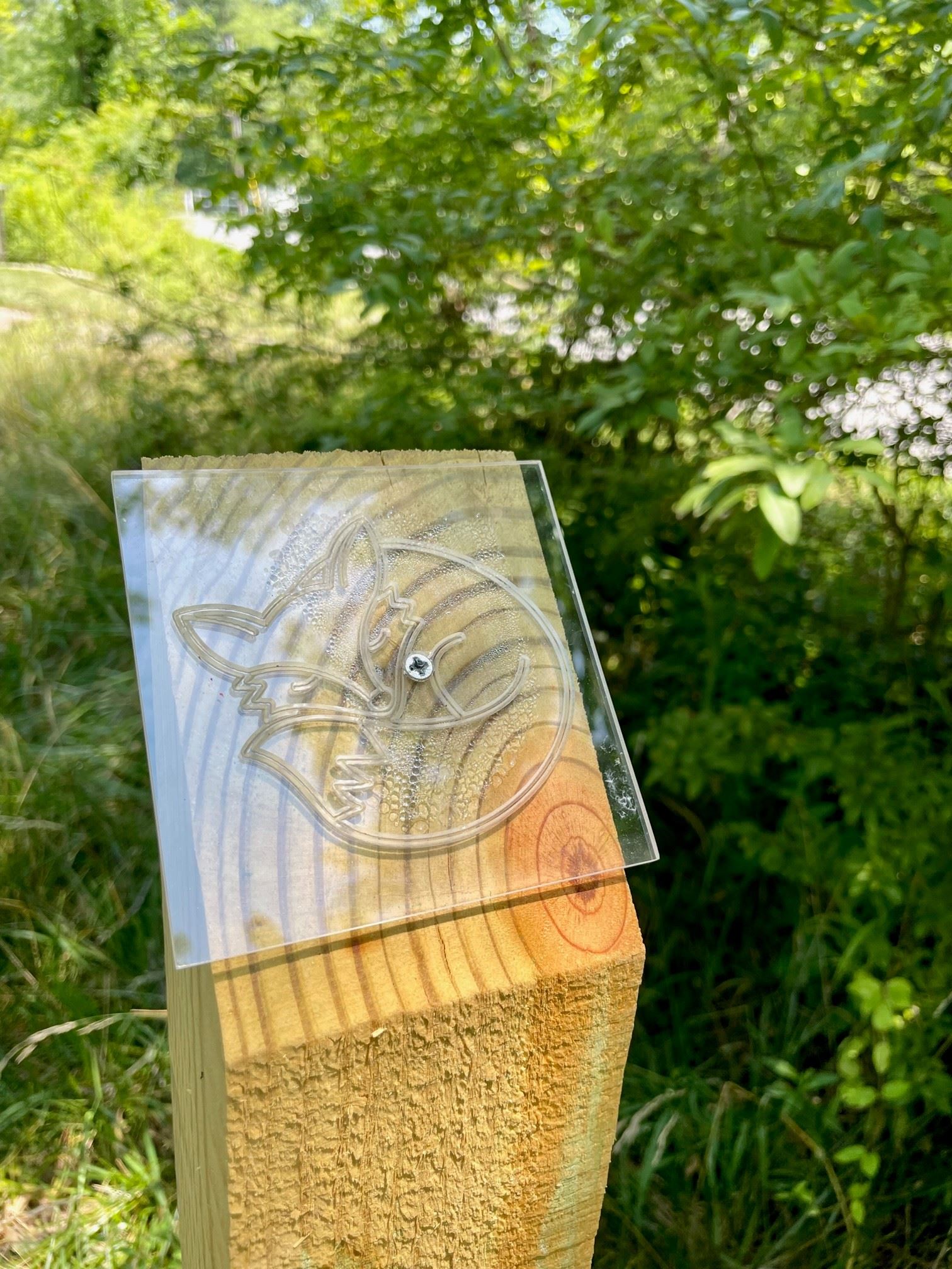 Fox Inspiration Station